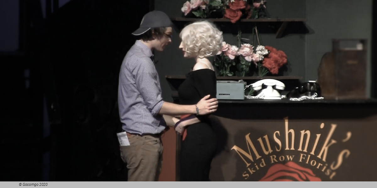 Scene 2 from the musical "Little Shop of Horrors", photo 4