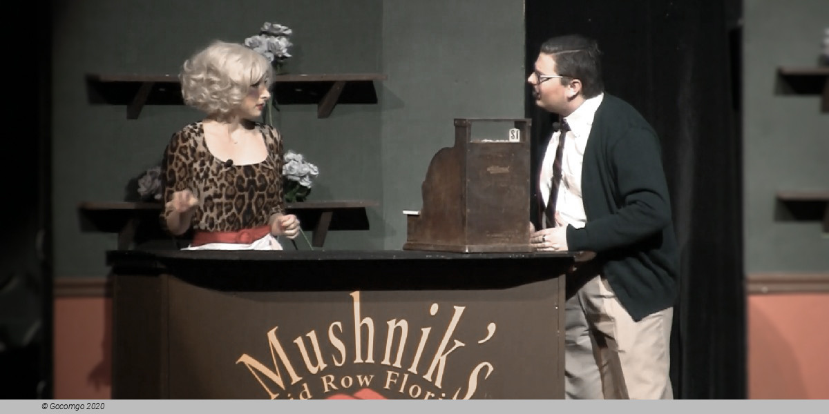 Scene 5 from the musical "Little Shop of Horrors", photo 7