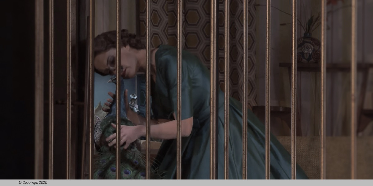 Scene 3 from the opera "La Calisto", photo 4