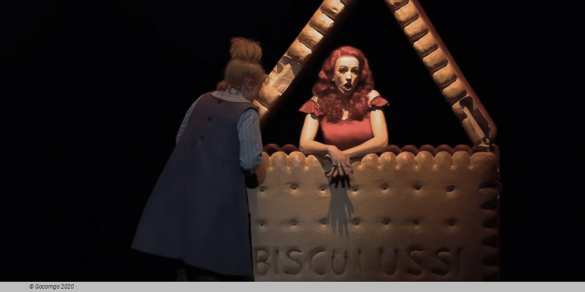 Hansel and Gretel, photo 9