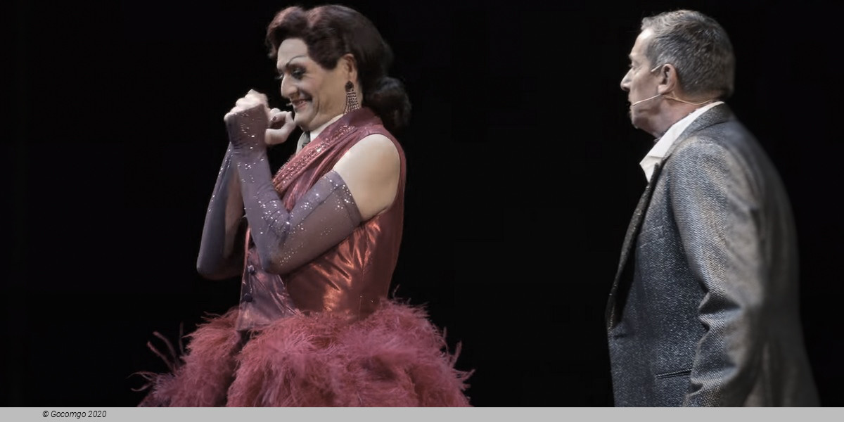 Scene 10 from the musical "La Cage aux Folles", photo 10